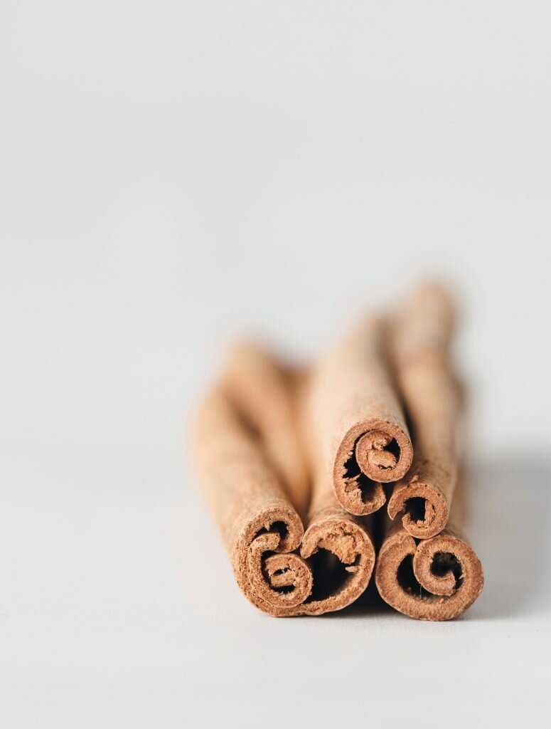 Cinnamon stick cross-section