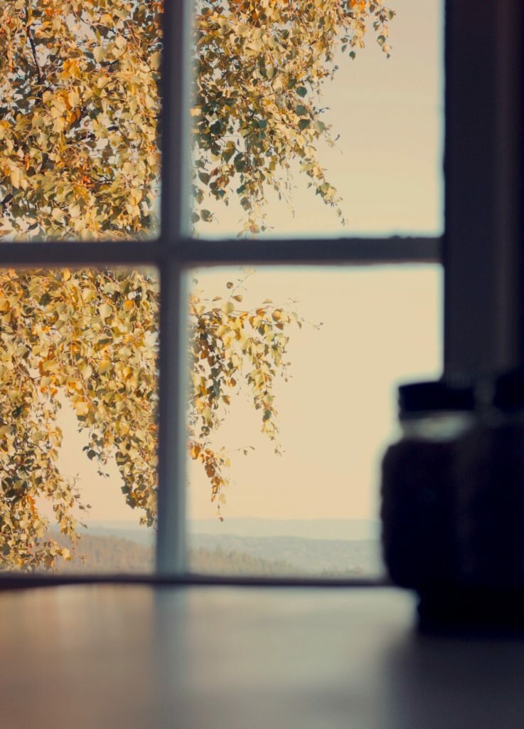 Autumn view